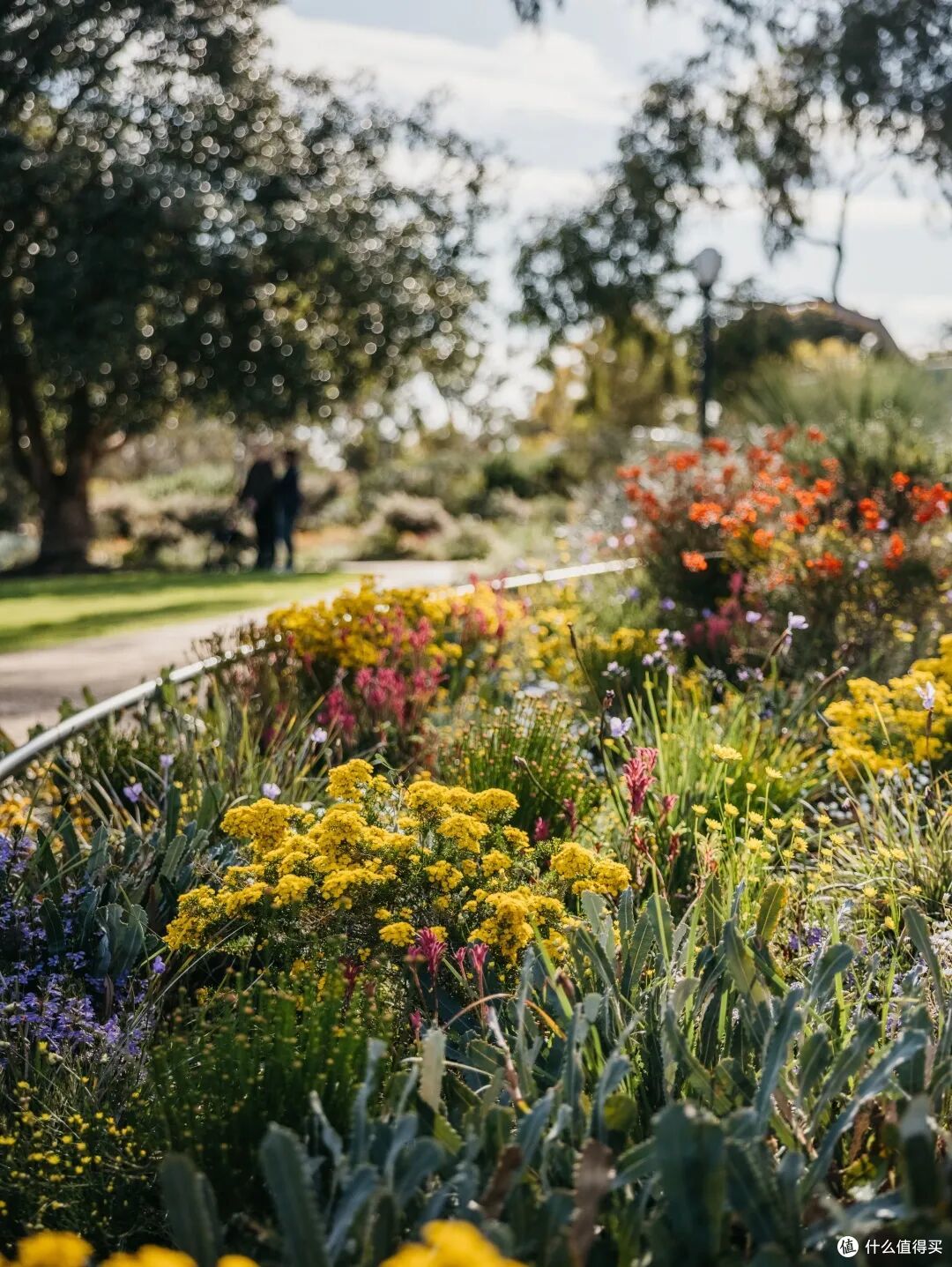 ● Kings Park and Botanical Garden, Perth, Western Australia  📷 / © Tourism Western Australia