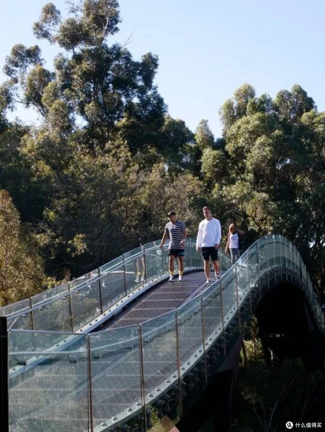 ● Kings Park and Botanical Garden, Perth, Western Australia  📷 / © Tourism Australia