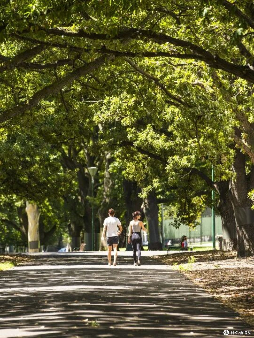 ● Carlton Gardens, Melbourne, Victoria  📷 / © Visit Victoria