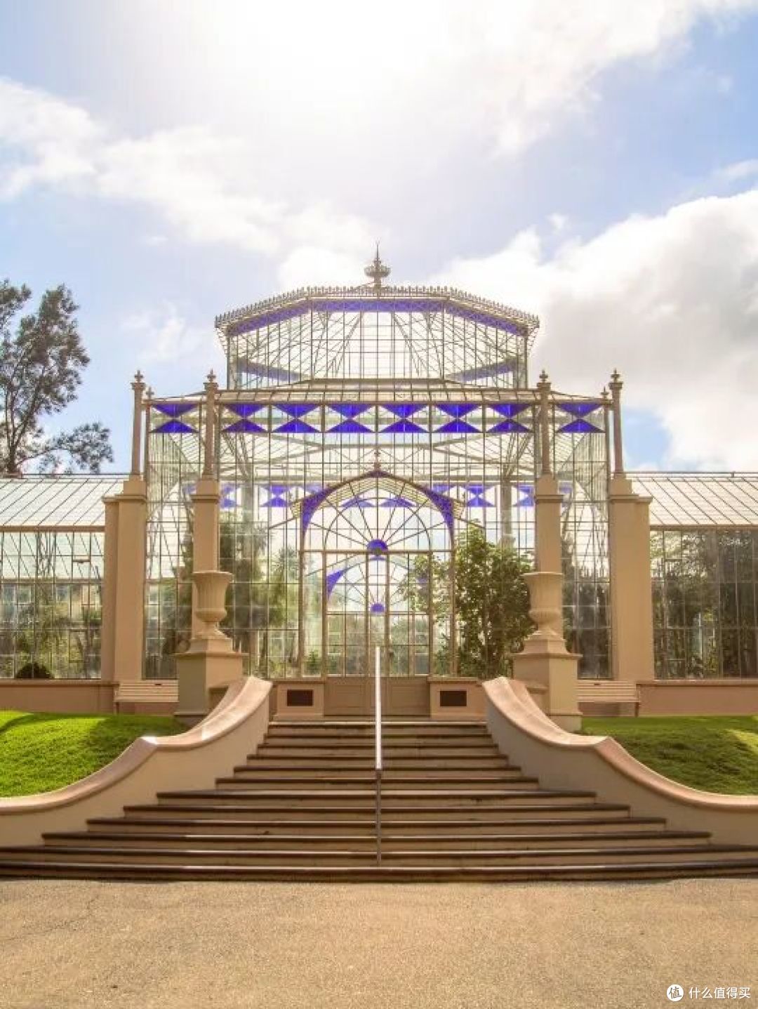 ● Adelaide Botanic Garden, Adelaide, South Australia  📷 / © Frankie The Creative