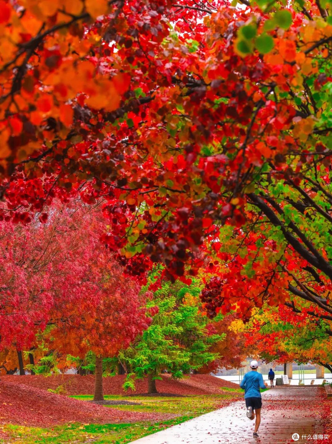 ● Lake Burley Griffin, Canberra, Australian Capital Territory  📷 / © Vishal Pandey/VisitCanberra