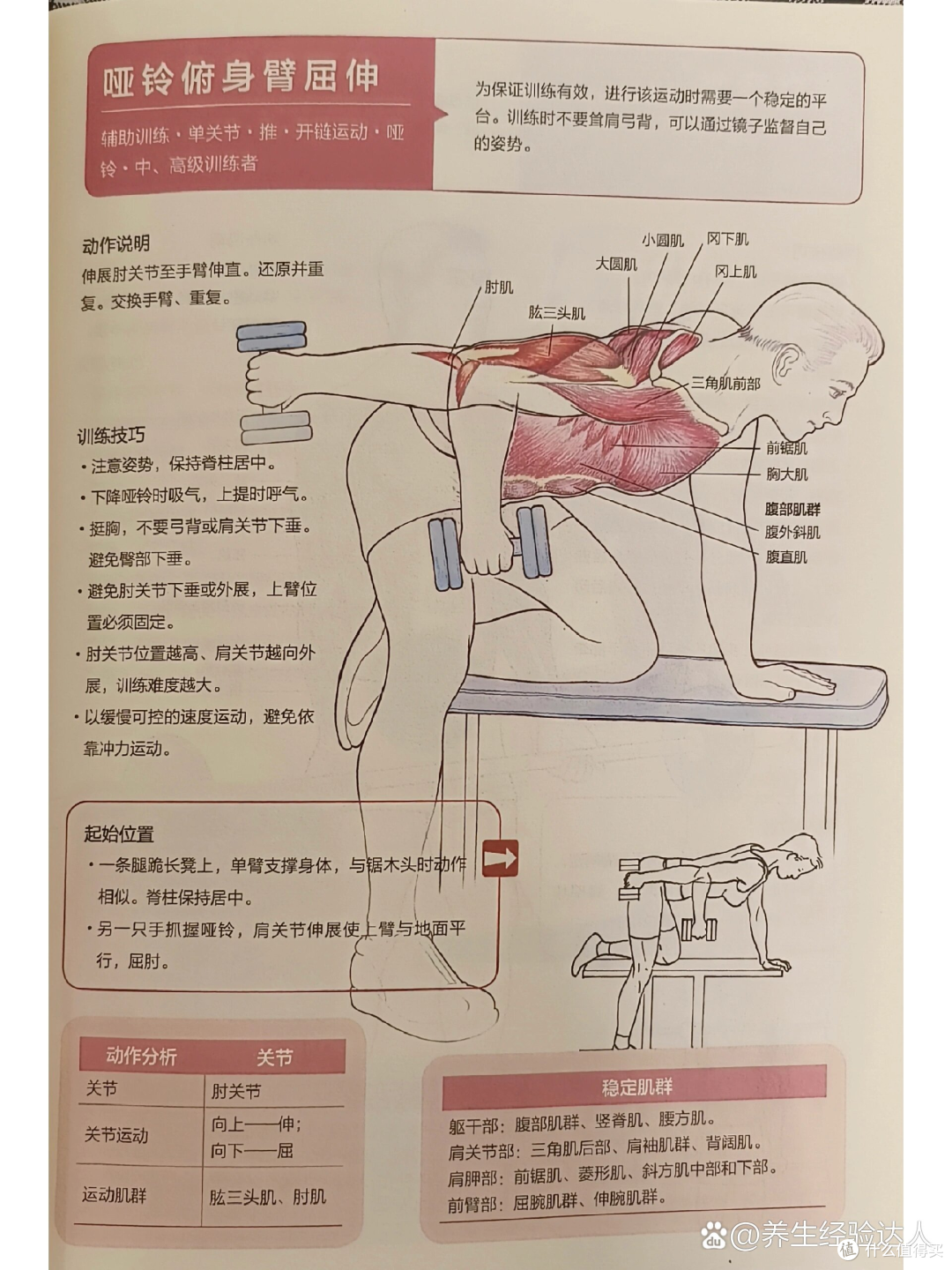 居家无器械练手臂:不用器械,在家练出紧致线条