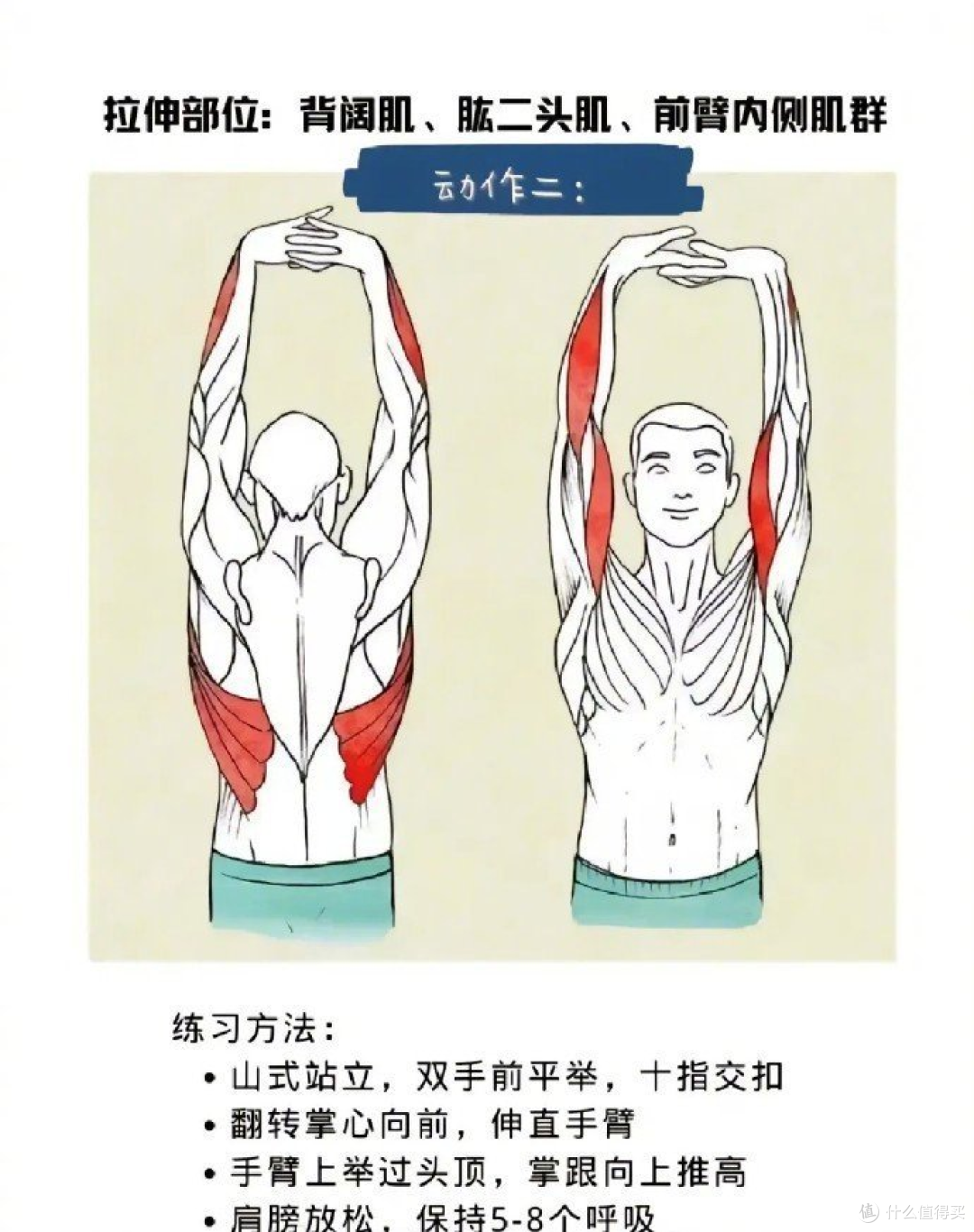 居家无器械练手臂:不用器械,在家练出紧致线条