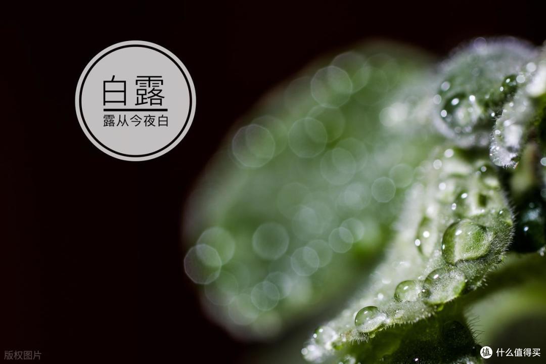 9月7日白露，牢记：1不穿，2不坐，3要戴，4多吃，千万别大意