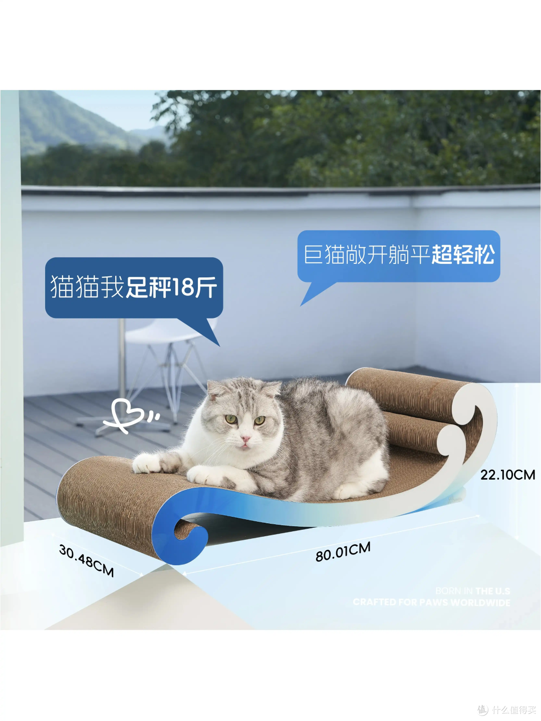 给主子安排个“海景房”！这猫抓板颜值绝了