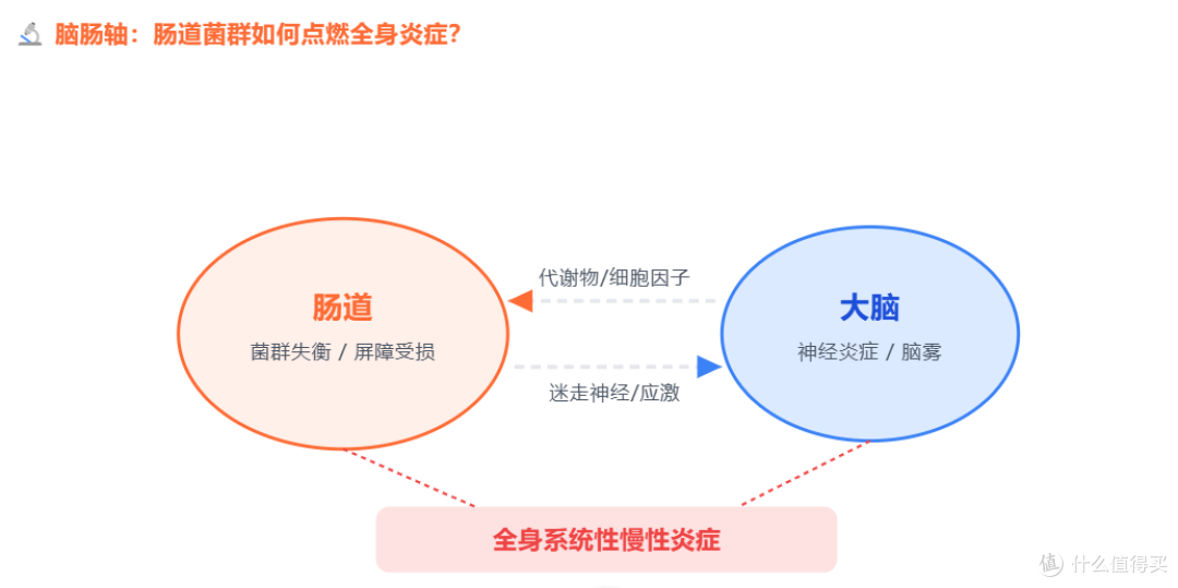 功能医学揭秘脑肠轴是炎症总开关，常吃这4种发酵食物，全身抗炎