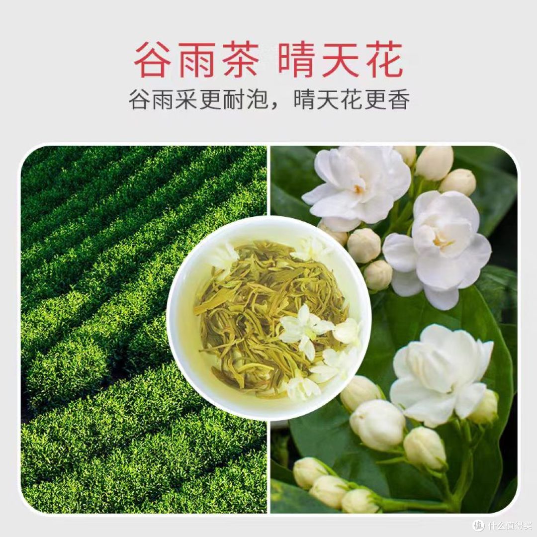 无限回购✅这杯茉莉飘雪太适合日常喝