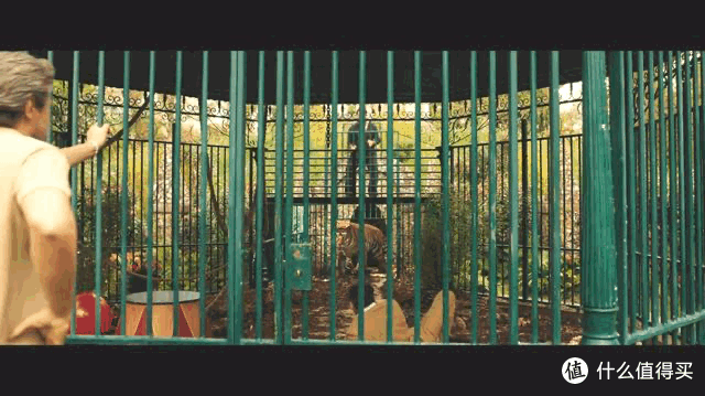 一次性放出全集,Netflix王牌美剧太过瘾了