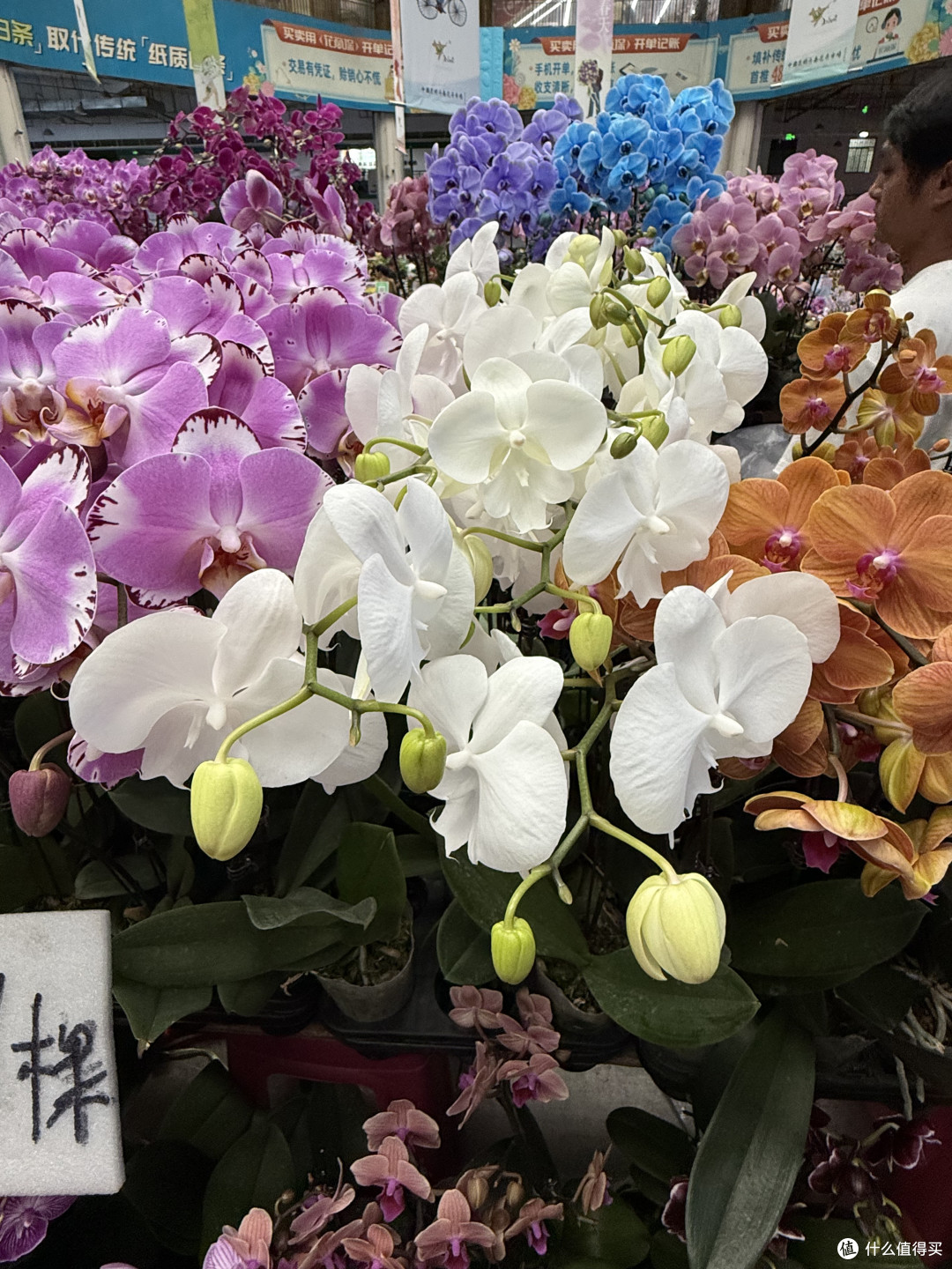 一个不错的花店