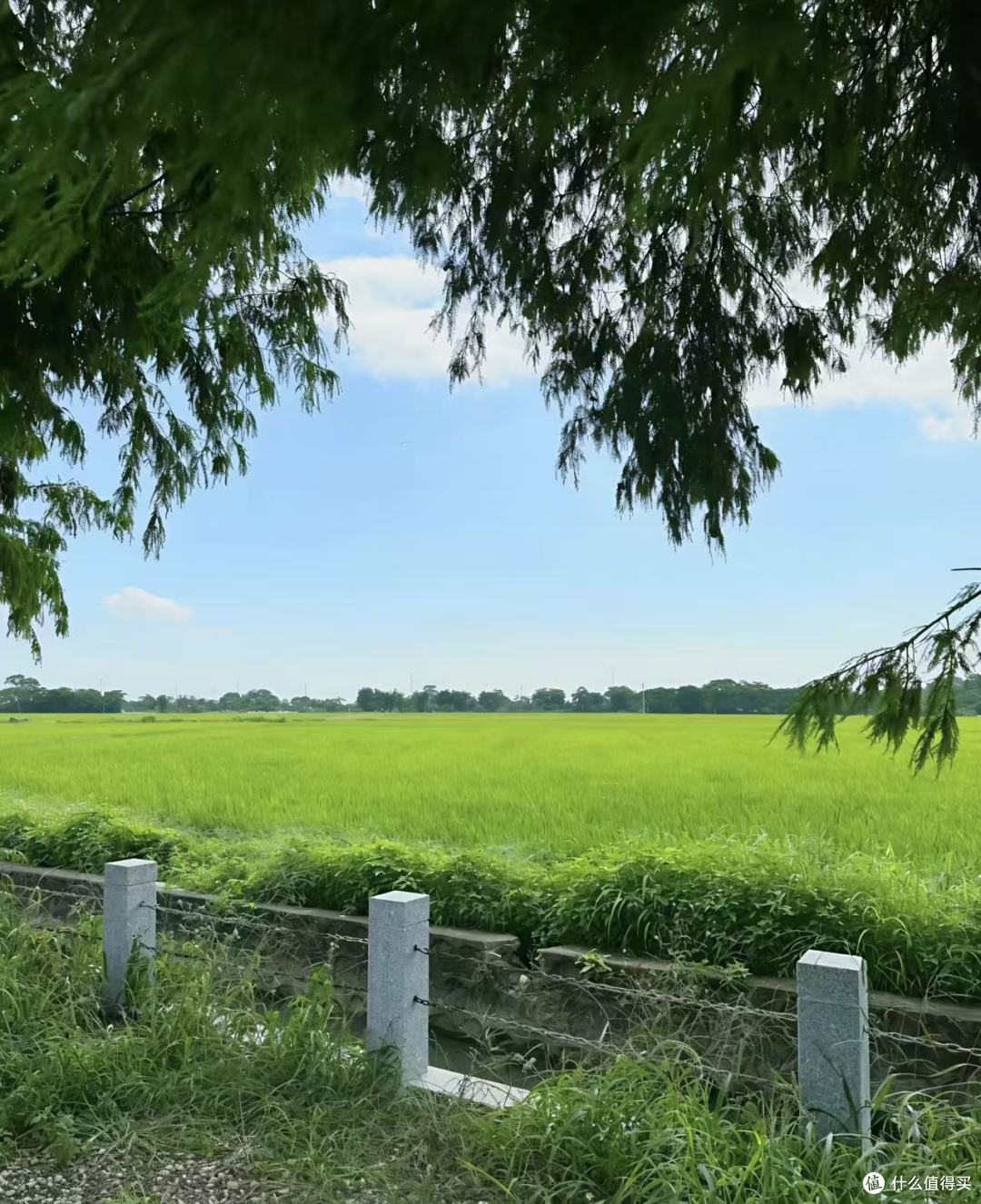 空调房手背总发紧的上班族，长效滋润保湿护手霜品牌我会这样看