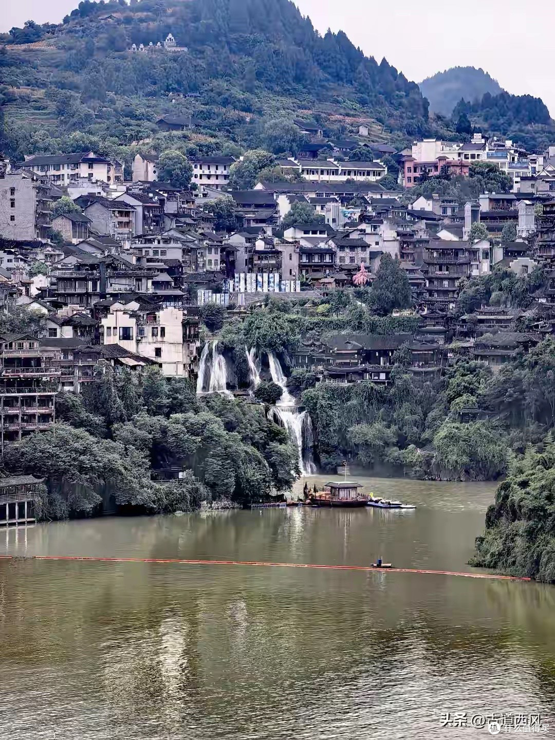 给全家囤营养品的人，鱼油哪个牌子更值得看，我会先算这四组数据