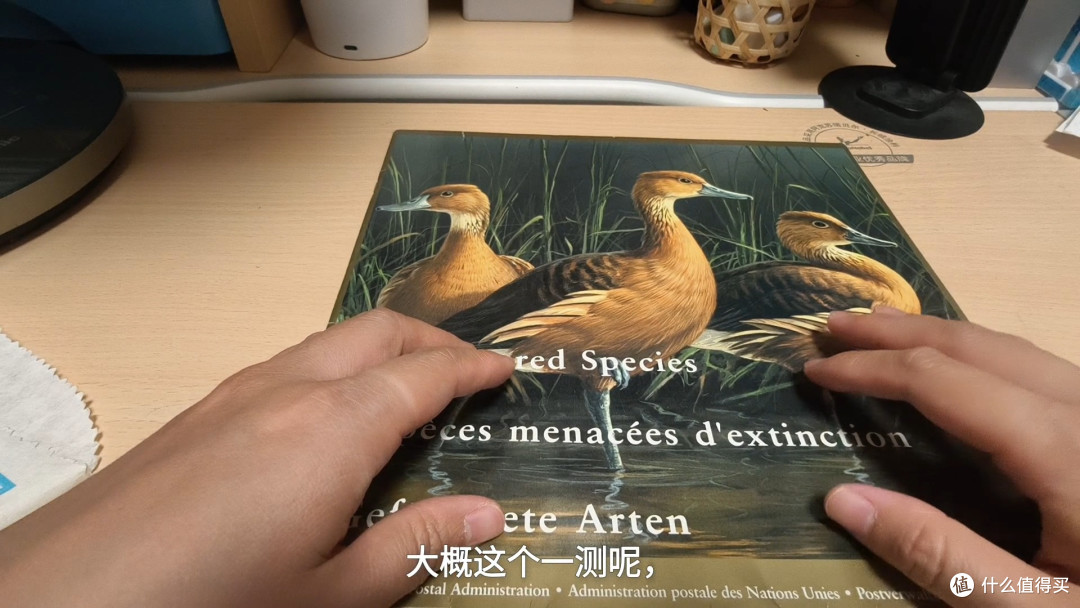 联合国2003濒危水鸟邮票