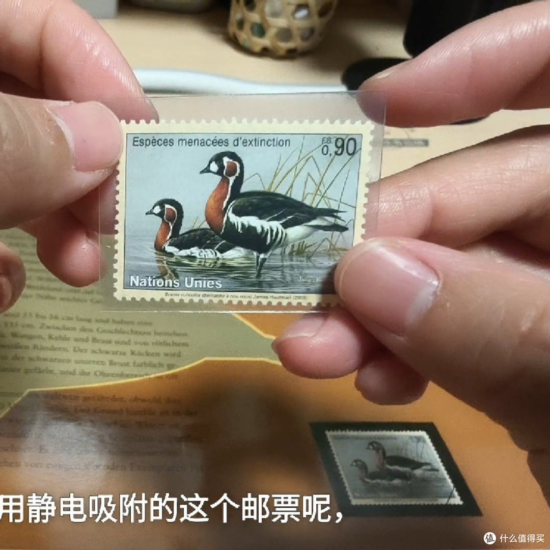 联合国2003濒危水鸟邮票