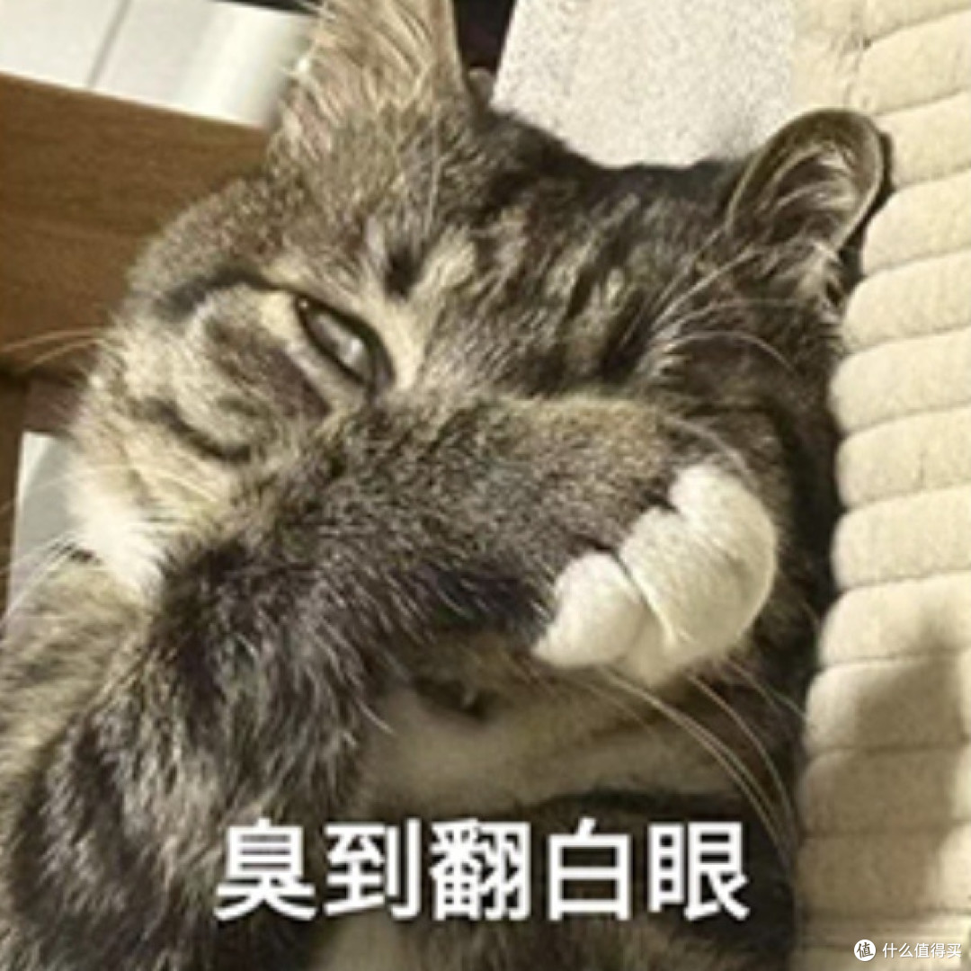 比运动鞋还能"腌"？夏天的洞洞鞋才是臭脚冠军