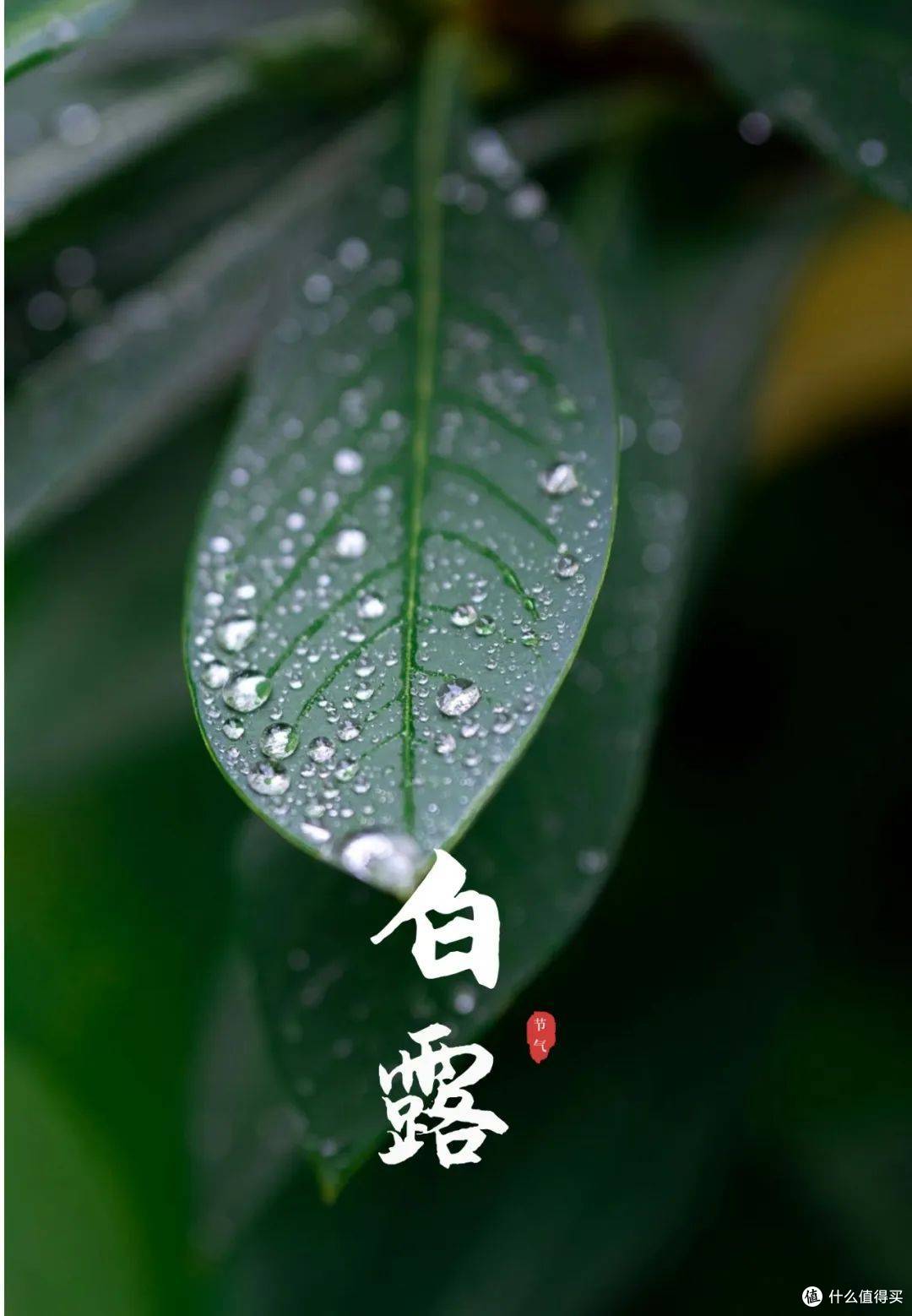 文章插图