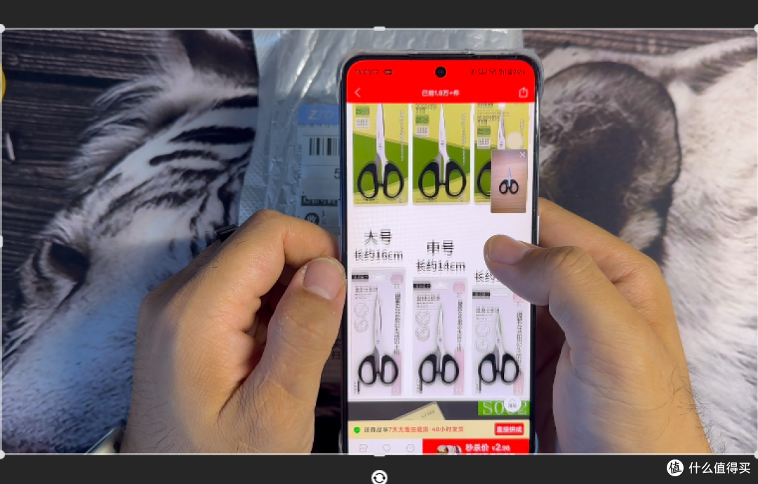 【一元秒杀系列】第七期|金达强人剪刀,捡漏还是翻车?