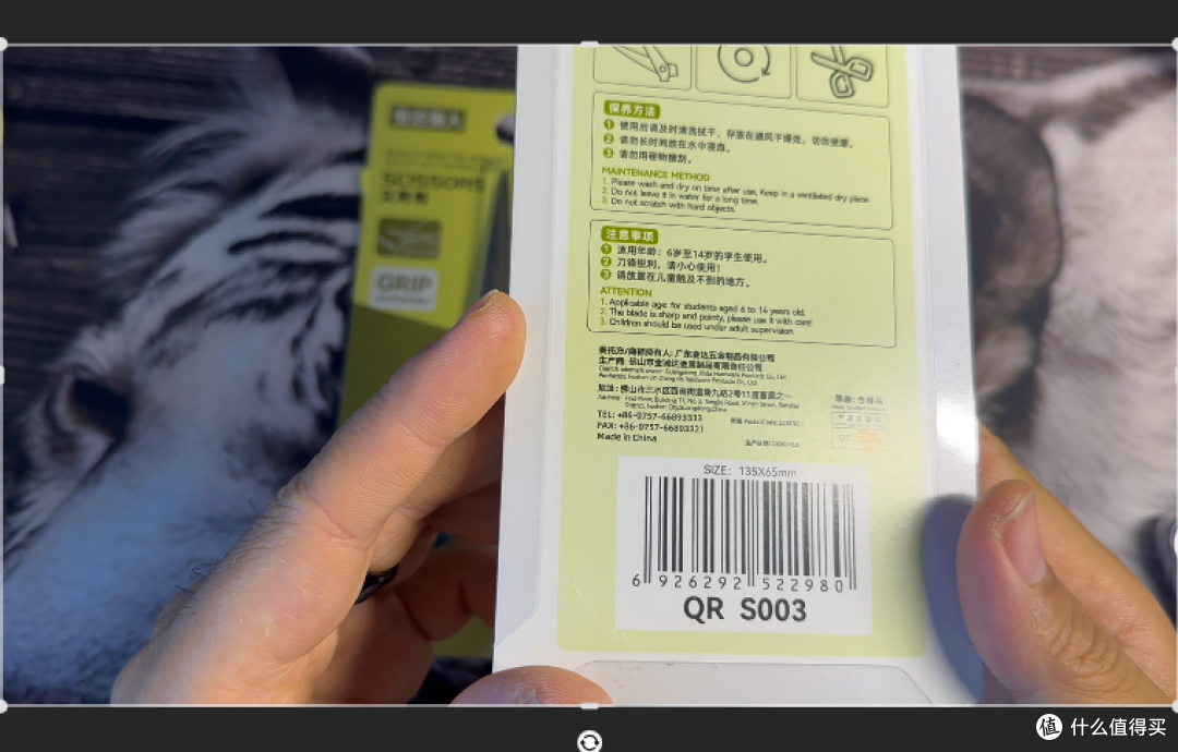 【一元秒杀系列】第七期|金达强人剪刀,捡漏还是翻车?
