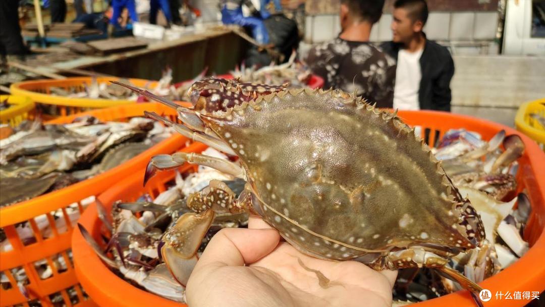 9月，吃啥应季海鲜？渔民推荐这10种，好吃还不贵，错过再等一年