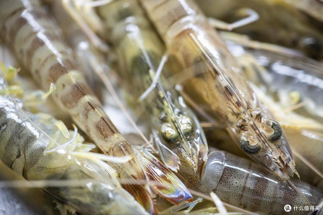 9月，吃啥应季海鲜？渔民推荐这10种，好吃还不贵，错过再等一年