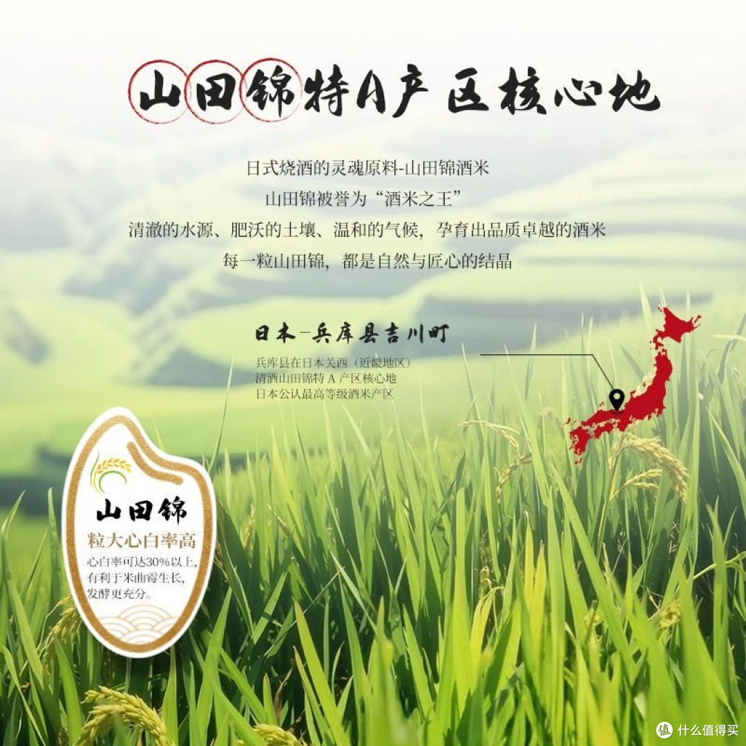 深夜食堂营业中!獭宗清酒的“万能佐餐”属性太绝了