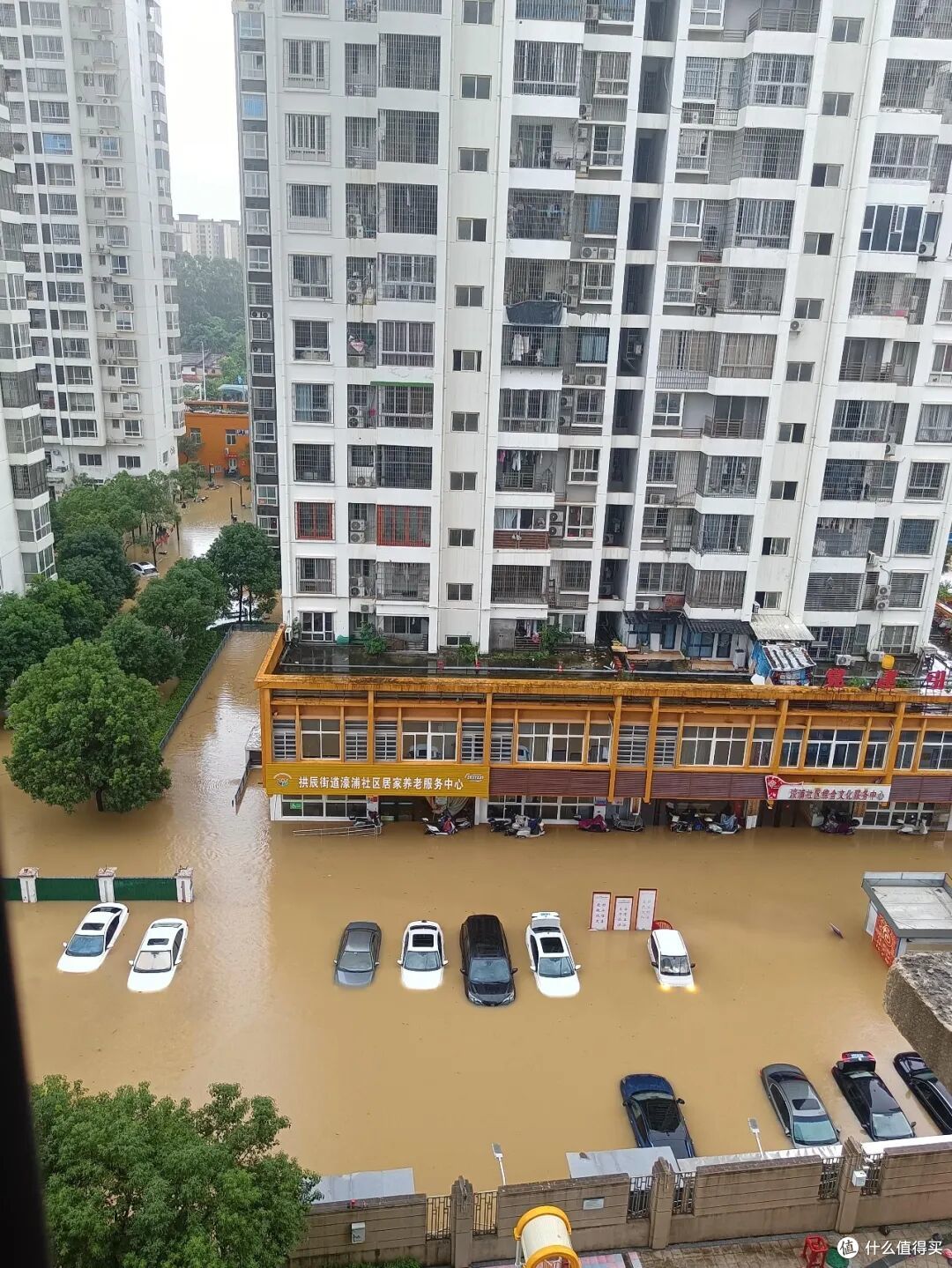 一楼被淹,洪水退去后才明白,“傻不买一楼”是多么痛的领悟!