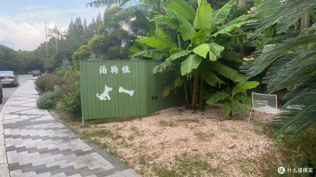 被问爆的朱家角花园餐厅|漫植花园真实体验