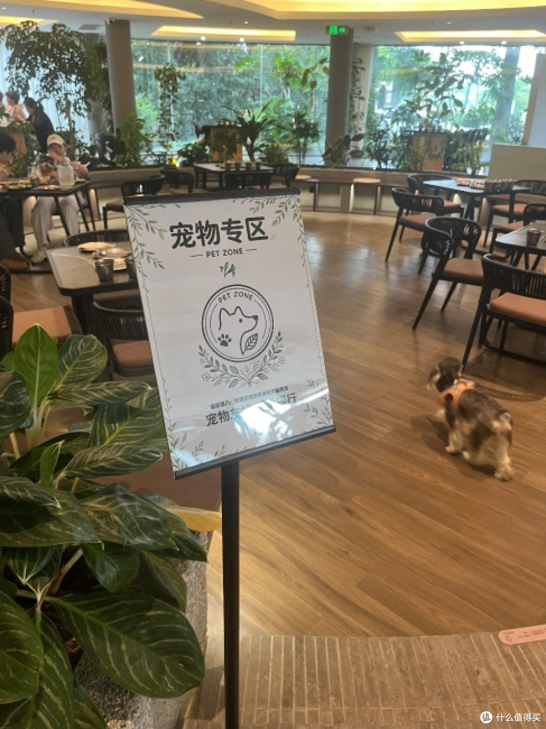 被问爆的朱家角花园餐厅|漫植花园真实体验