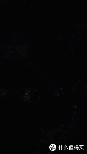 盘点这个暑假一直在用的旅行实用好物