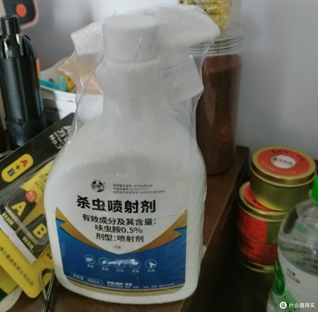 家里蚂蚁反复冒出来的租房党，选对除蚁药才能断窝不复发