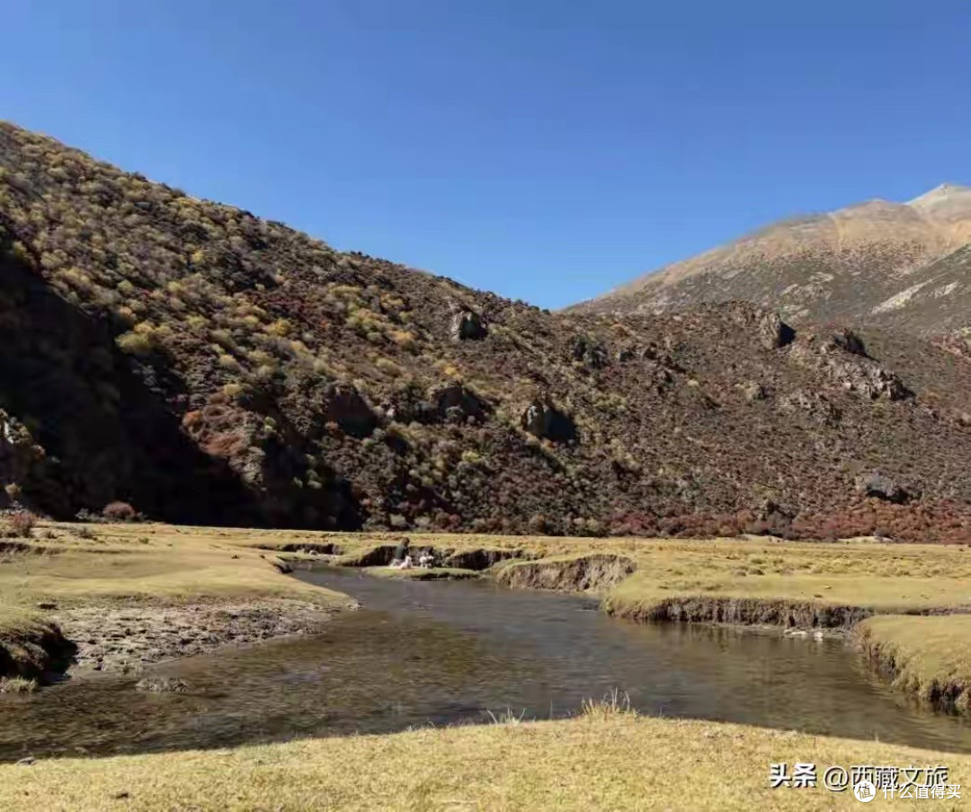 氨糖软骨素怎么选,研究成分表后5款热门氨糖真实分享