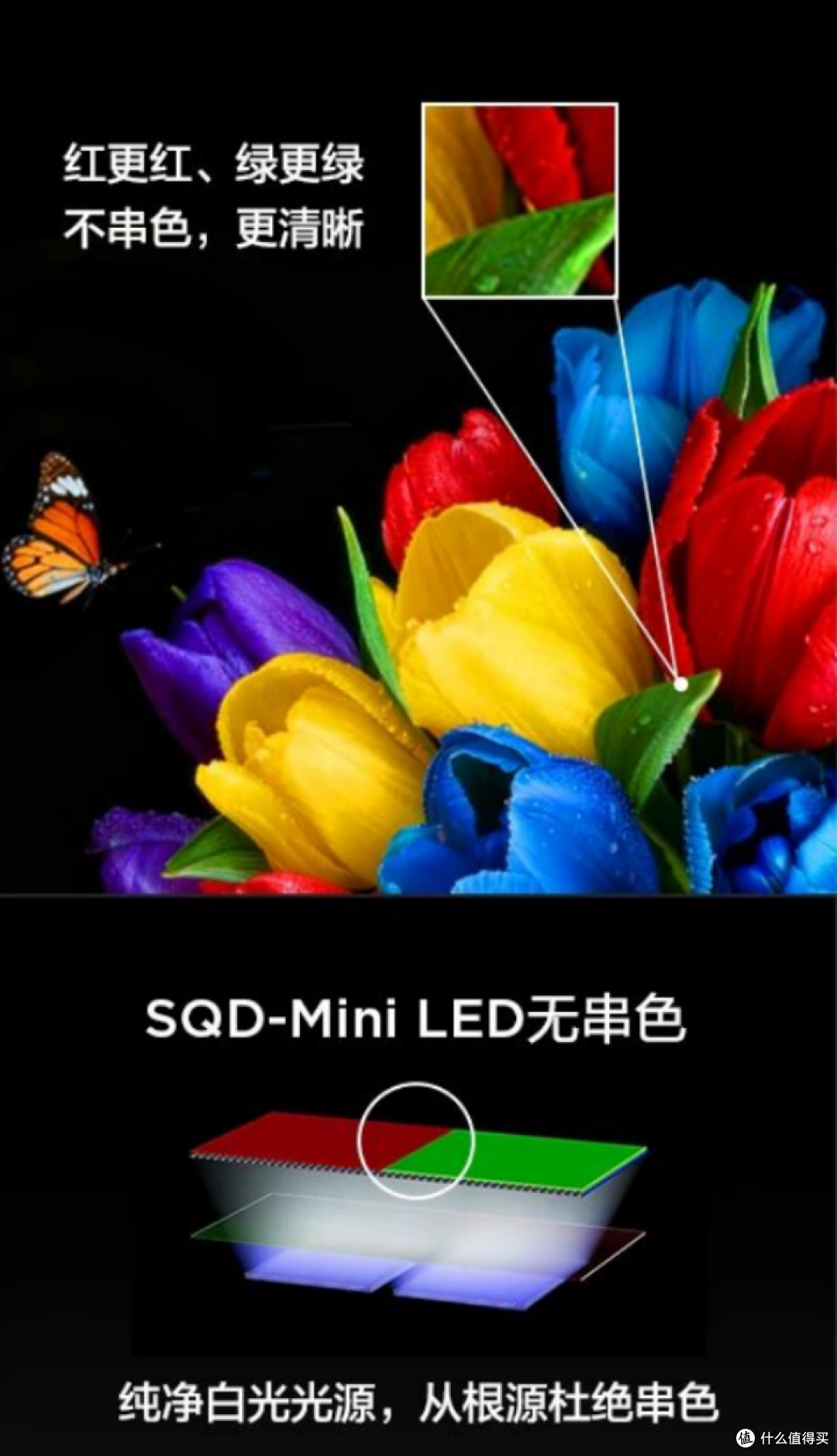 同价位画质拉满,TCL新品C10M够实在