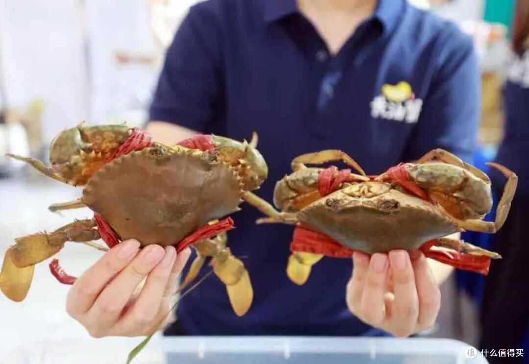 在中国,吃“青蟹”还得这10个地方!个大肥美还不贵,有你家乡吗