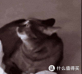 谷歌开始收废品,我给傲腾上香