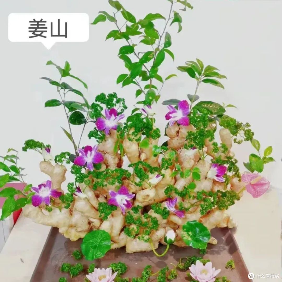 被同事的水培生姜“惊到”了，在工位上打下“一桶姜山”，真壮观