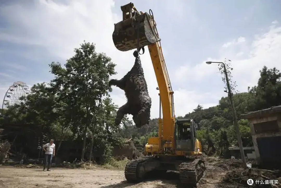 第比利斯动物园：一座在历史里反复受伤的动物园