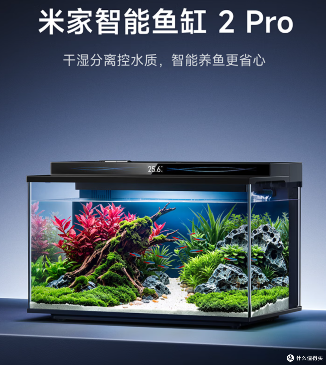 649块的小米智能鱼缸2 Pro开售，这口缸到底值不值？