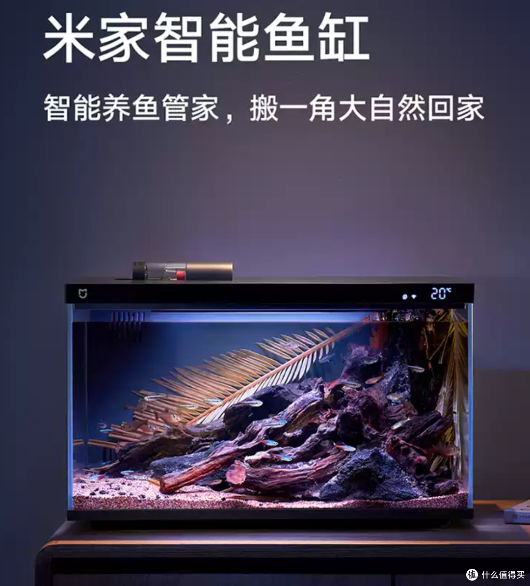 649块的小米智能鱼缸2 Pro开售，这口缸到底值不值？