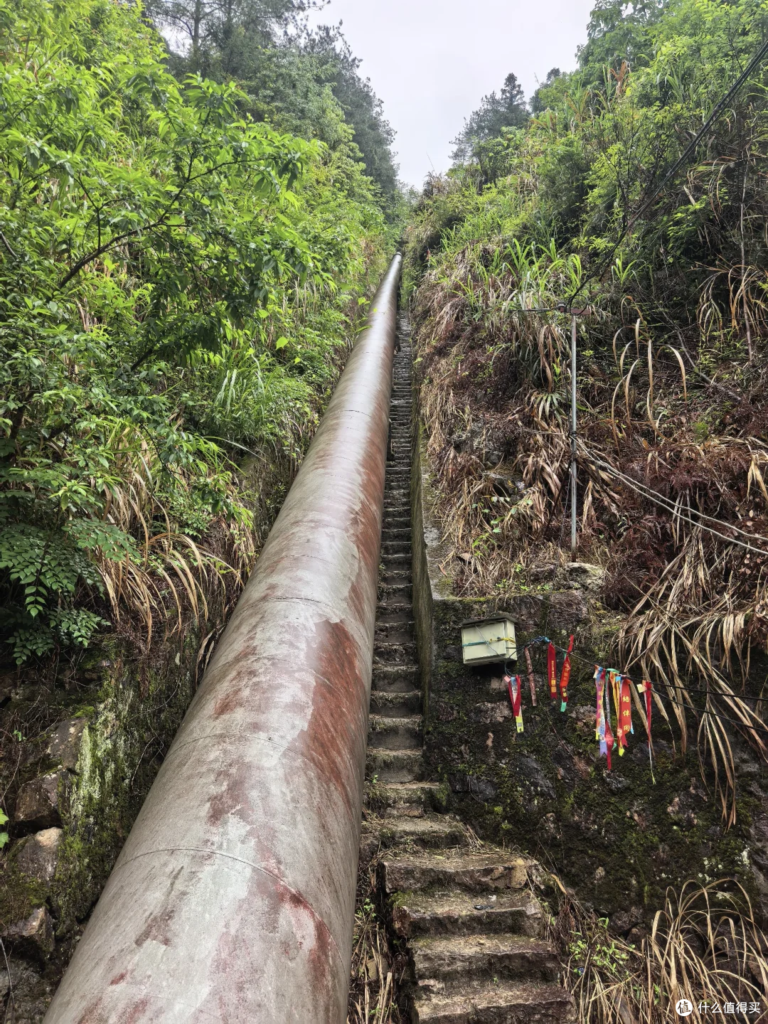 收藏的轨迹为什么突然打不开了:两步路整顿背后,鳌太线香山路线纷纷下架