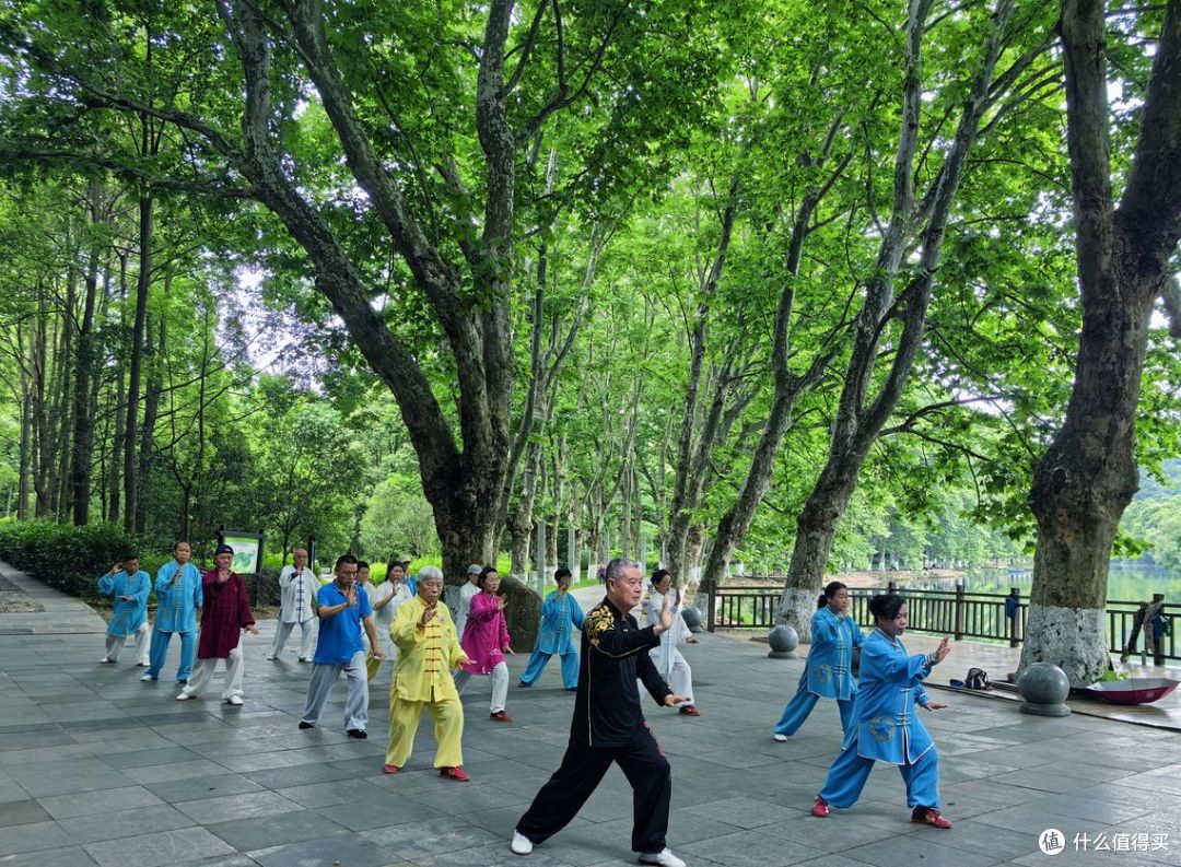 入秋嗓子像糊砂纸,白露养肺,记住 “润而不贪凉”