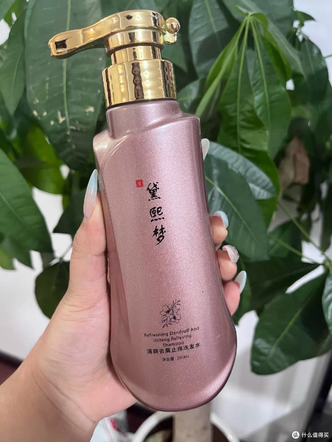 换了N款去屑洗发水,这4瓶让我从“满是头屑”变成清爽蓬松高颅顶