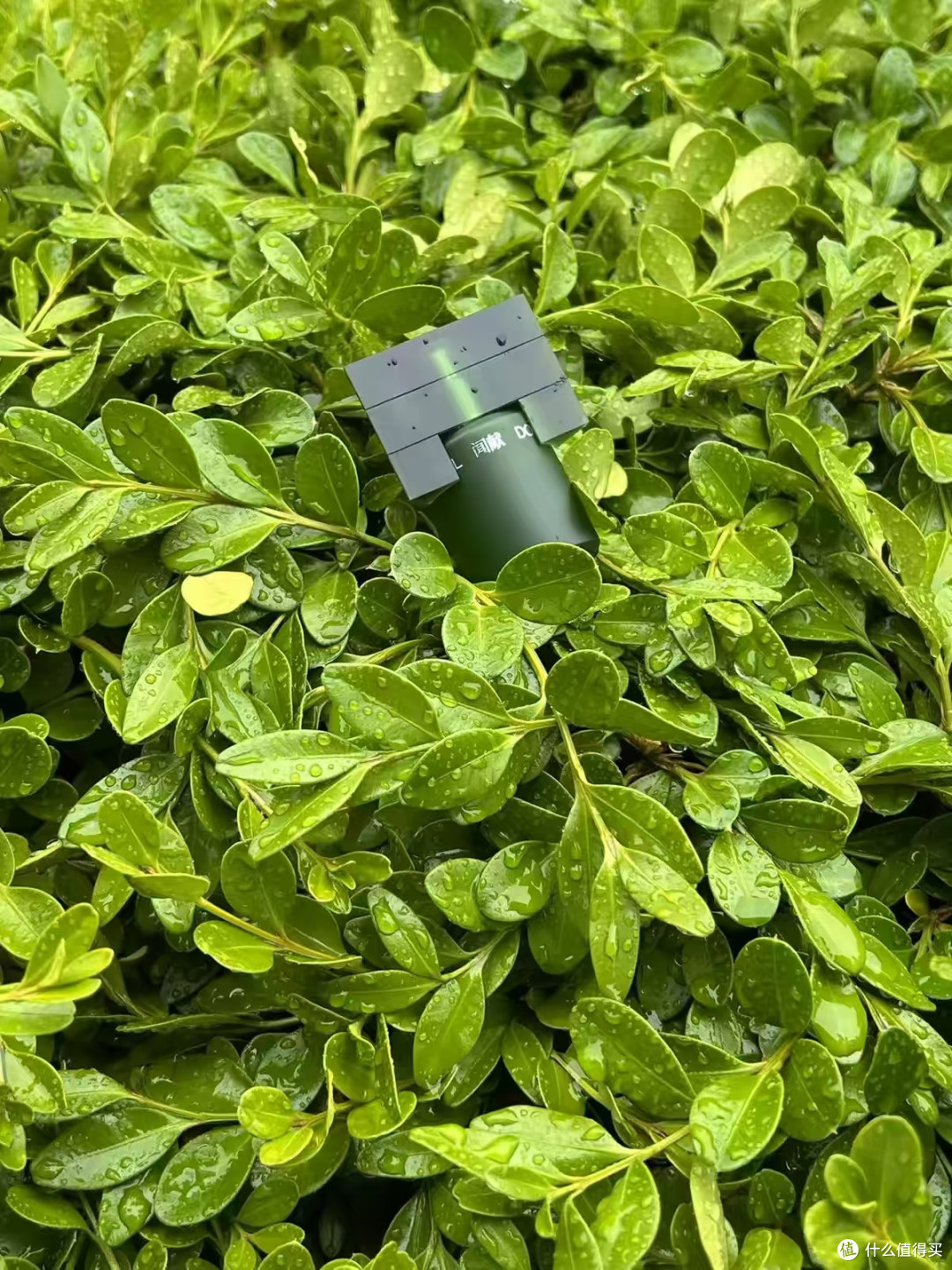 谁懂！闻献 15ml 随身淡香精太友好