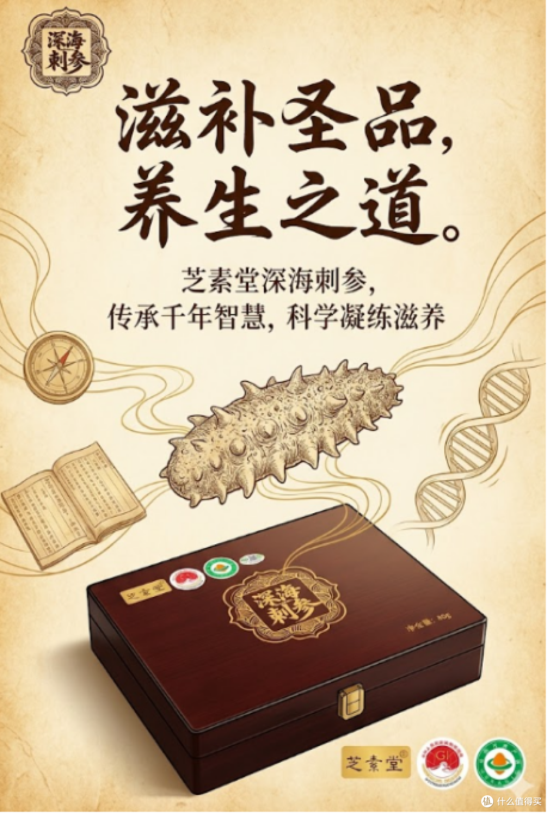 芝素堂海参中秋送礼有什么特点?从产地、参数到泡发逐一分析