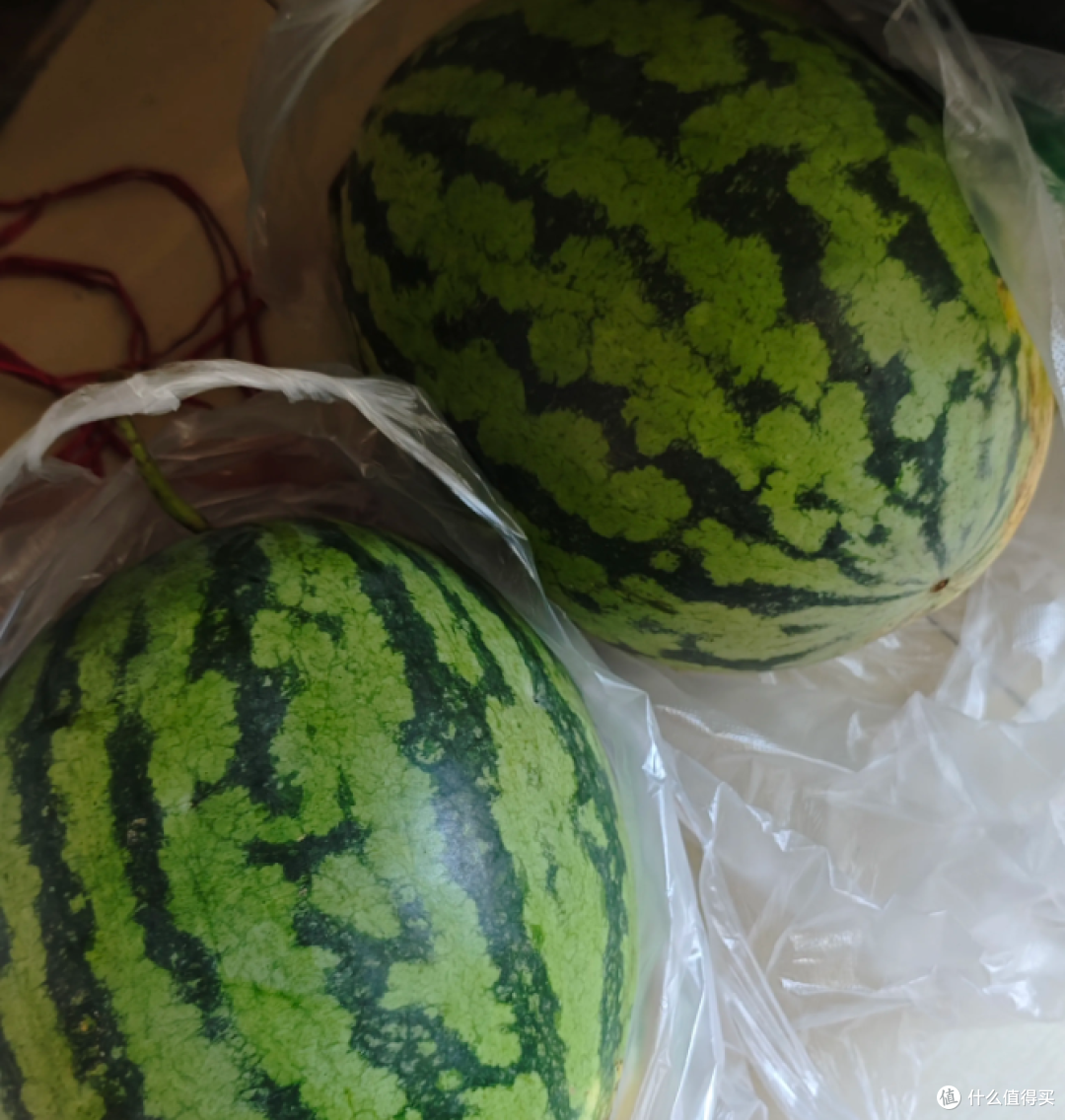 抱回两个大西瓜，差点把自己送走