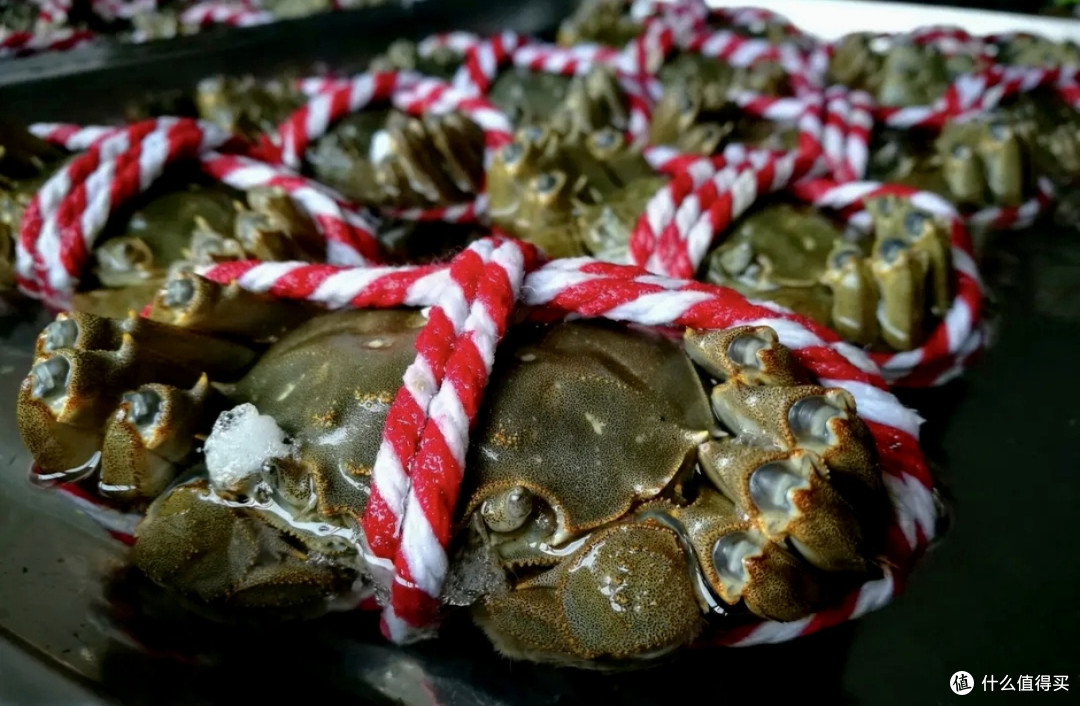 🦀蟹季实测:6种大闸蟹吃法横评,从清蒸到蟹粉拌饭全攻略