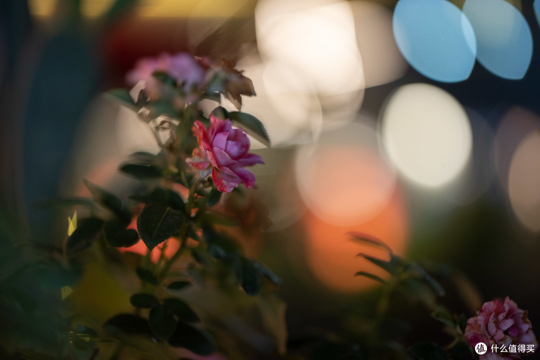 同类最小最轻！适马ART 85mm F1.2首发体验