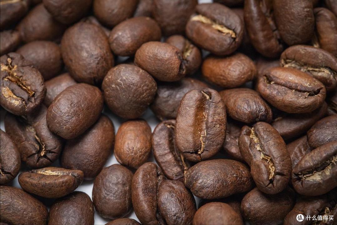 全球有多少种“咖啡豆”?哪种最好喝?今天全读懂,来,涨知识了