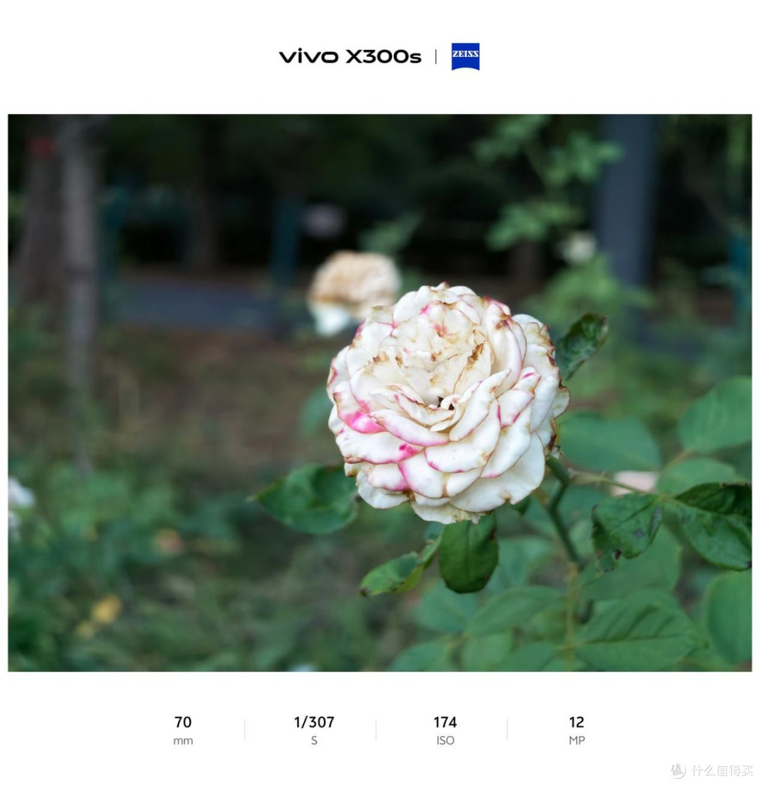 胶片质感|vivo X300s,一台超能打的超能小V单