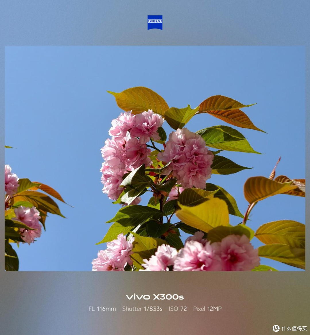 胶片质感|vivo X300s,一台超能打的超能小V单
