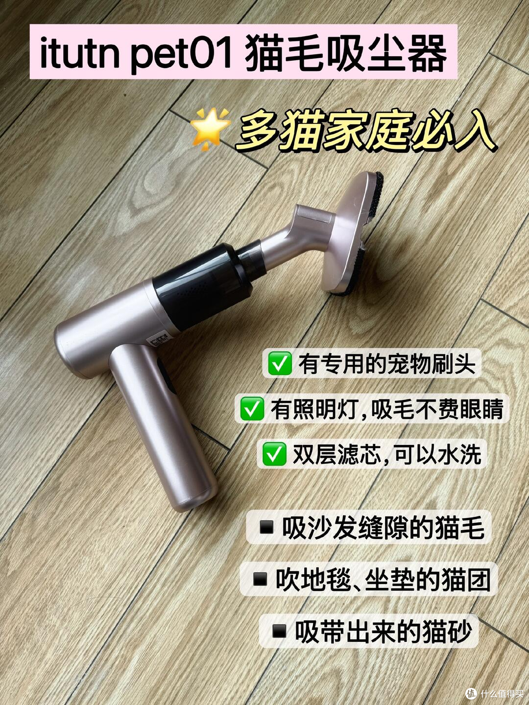 养猫家庭猫毛怎么清?3款猫毛清理工具实测推荐
