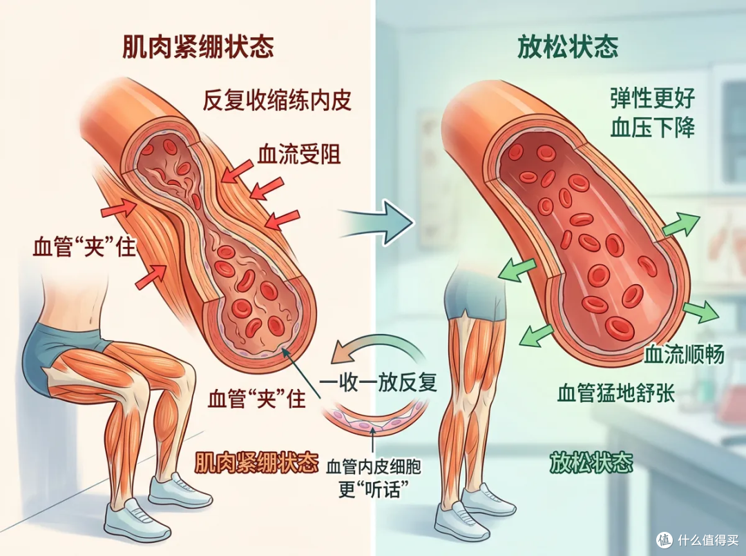 最强降血压运动!不跑不跳,一次几分钟就管用